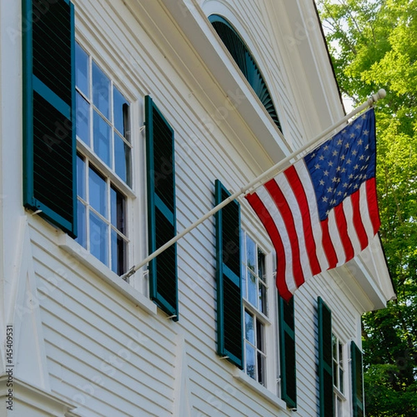Obraz Flag at City Hall