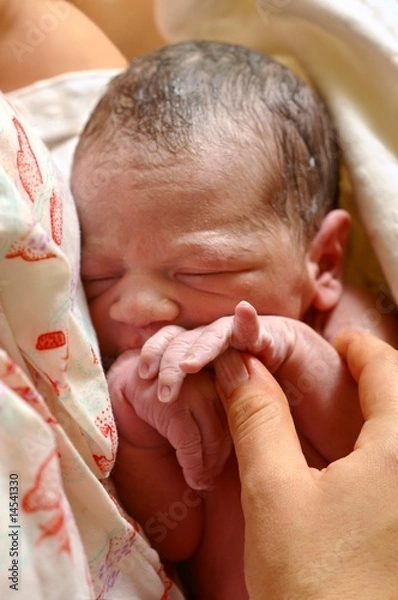 Fototapeta newborn baby in mother's arms two minutes after birth