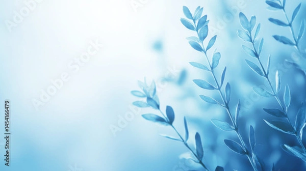 Fototapeta Delicate blue leaves softly illuminated, creating a serene atmosphere of tranquility.