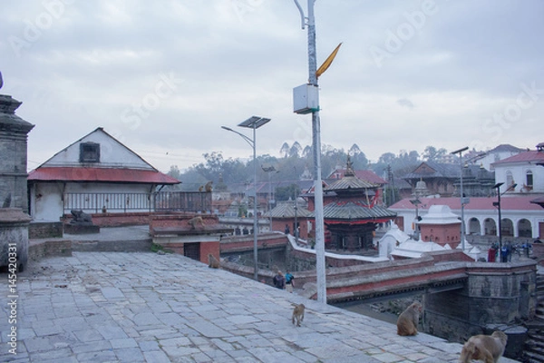 Obraz Pashupatinath Temple Nepal