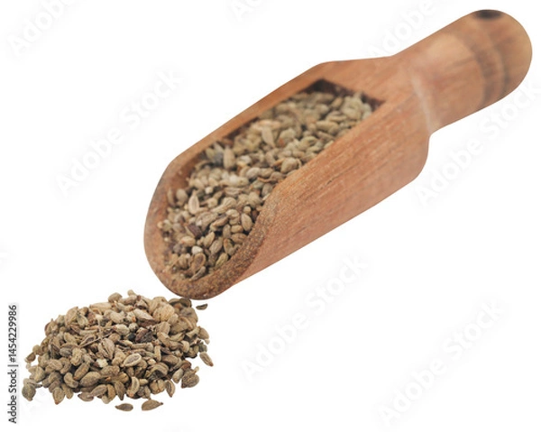Obraz Radhuni or wild celery