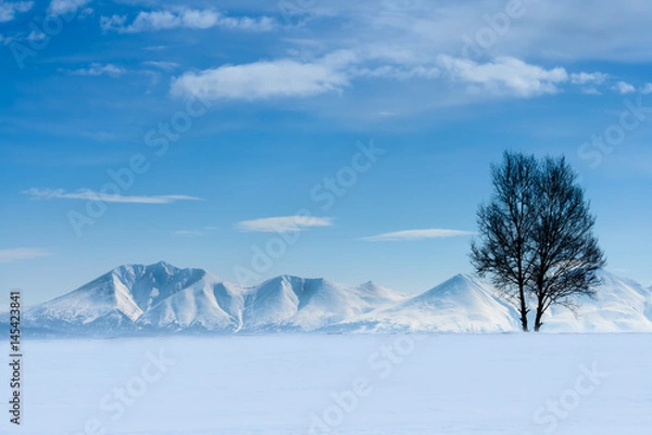 Obraz 北海道、雪の十勝岳に登る朝日