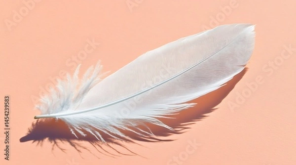Fototapeta Elegant white feather casting shadow on a soft peach-toned background surface
