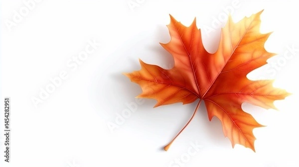 Fototapeta Realistic, colorful autumn leaf with intricate veins, against white background