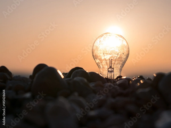 Fototapeta Concept scene of light bulb on pebble beach