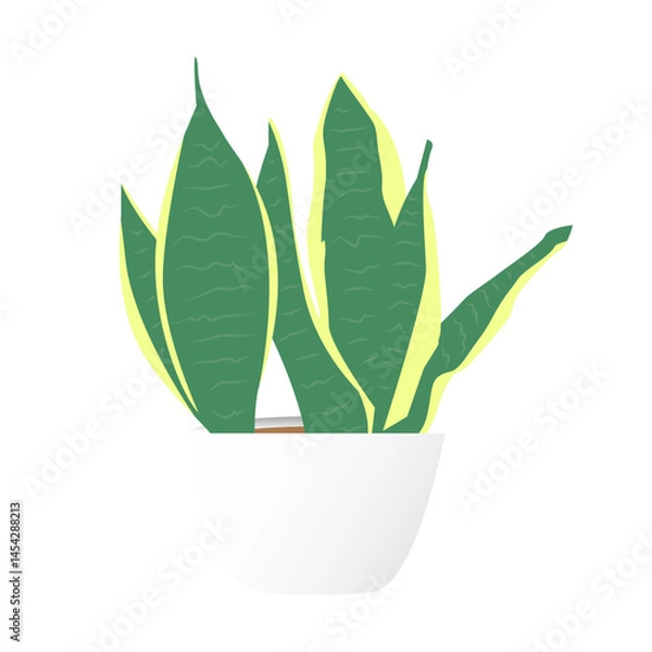 Fototapeta Indoor plant mockup for design purposes.Minimal cute little plant with pot and many leaves to be used as props and as display for plants isolated over white background.Eps10 model plant for home decor