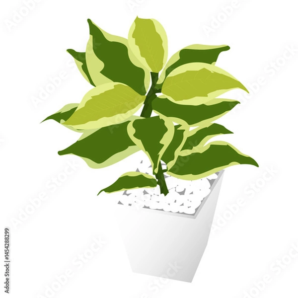 Fototapeta Indoor plant mockup for design purposes.minimal cute little plant with pot and many leaves to be used as props and as display for plants isolated over white background.Eps10 model plant for home decor