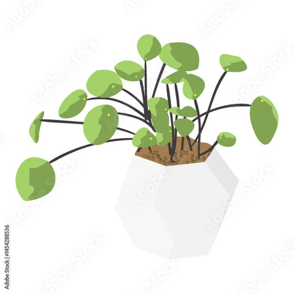 Fototapeta Indoor plant mockup for design purposes.Minimal cute little plant with pot and many leaves to be used as props and as display for plants isolated over white background.Eps10 model plant for home decor