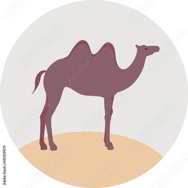 Fototapeta Camel vector sign illustration