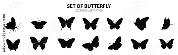 Fototapeta Butterfly vector design