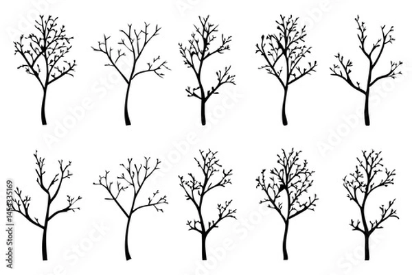 Fototapeta Dead Tree Silhouette Without Leaves.  Bare Tree Vector Icon Set
