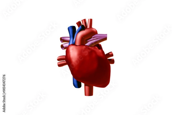 Obraz 3D Rendered Human Heart Illustration Transparent Background