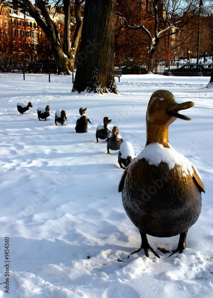 Obraz make way for ducklings