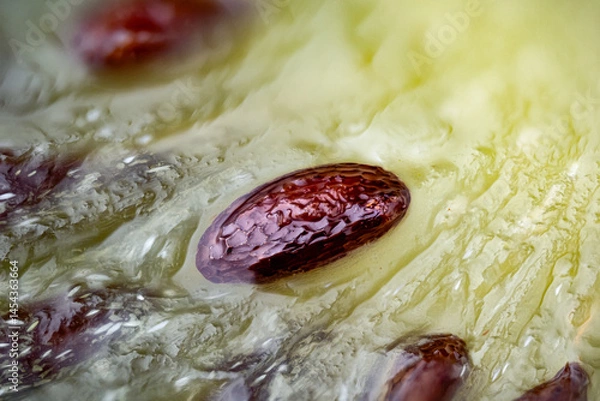 Fototapeta micro photography, extreme close up of a kiwi seed in the green kiwi flesh