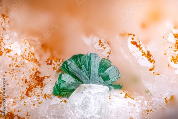 Fototapeta Green Cornwallite star. Specimen from Clara mine, Oberwolfach, Germany. Micro photography extreme close-up. microscope mineral crystal photography for Scientific use.