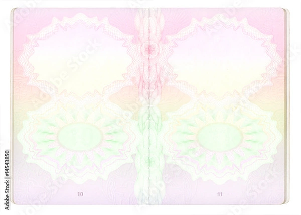 Obraz Blank Passport pages