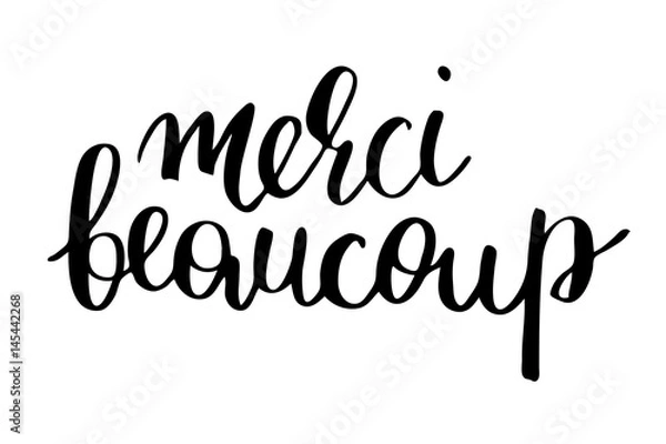 Fototapeta Merci beaucoup. Thank you very much in French. Handwritten black text isolated on white background, vector. Each word is on the separate layer