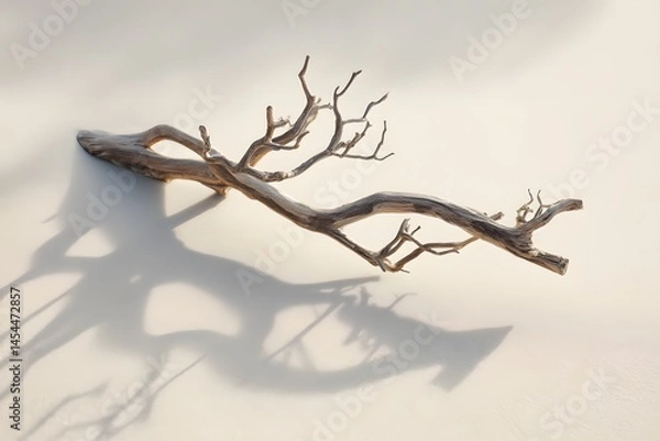 Fototapeta Intricate Branch with Unique Shadows on Light Surface