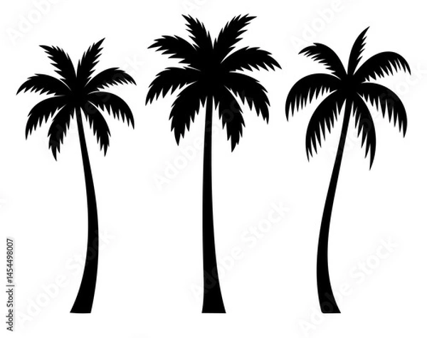 Fototapeta Three palm trees are shown in black and white. The trees are tall and slender, with long, thin leaves. The image has a serene and peaceful mood, as the trees are depicted in a calm