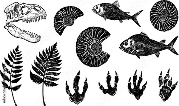 Fototapeta Fossil vector. Archeologic fossil dig set. Dinosaur dino foot, sea animal, fish skeleton, plant, shell. Ancient sand stone. Evolution rock prehistoric art. Paleontology,