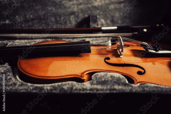 Fototapeta Violin with bow in a case