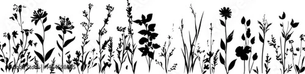Fototapeta Silhouettes of Various Plants and Flowers with Unique Shapes and Structures
