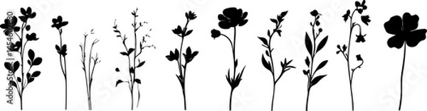 Obraz Silhouettes of Various Plants and Flowers in a Minimalist Style
