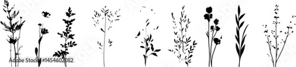 Obraz Silhouettes of Various Plants and Flowers in a Minimalist Style
