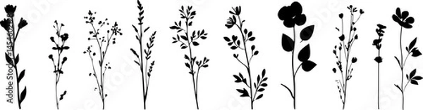 Obraz Silhouettes of Various Plants and Flowers in a Minimalist Style
