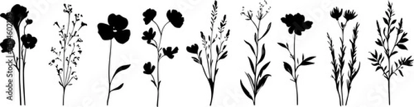Obraz Silhouettes of Various Plants and Flowers in a Minimalist Style
