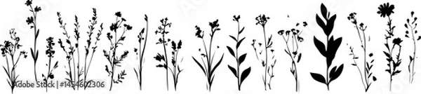 Obraz Silhouettes of Various Plants and Flowers in a Minimalist Style
