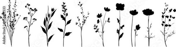Obraz Silhouettes of Various Plants and Flowers in a Minimalist Style
