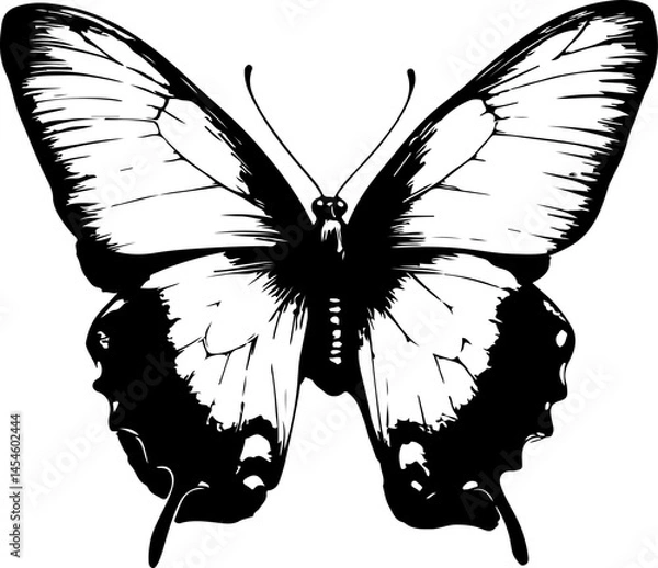 Obraz Black and White Illustration of a Butterfly with Detailed and Symmetrical Wing Patterns
