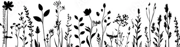 Obraz Black and White Illustration of a Butterfly with Detailed and Symmetrical Wing Patterns
