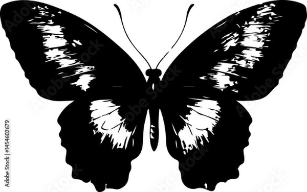 Obraz Black and White Illustration of a Butterfly with Detailed and Symmetrical Wing Patterns
