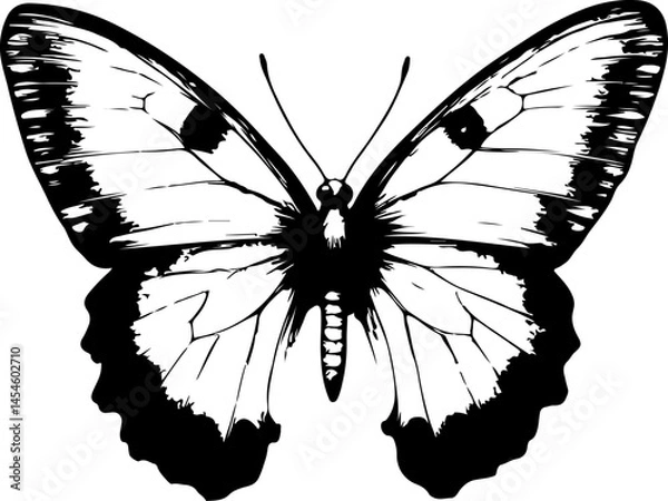 Obraz Black and White Illustration of a Butterfly with Detailed and Symmetrical Wing Patterns
