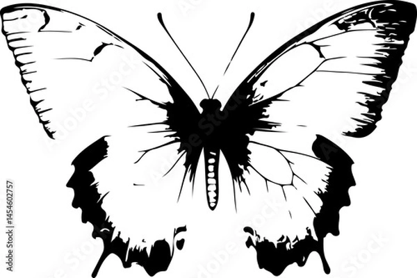 Obraz Black and White Illustration of a Butterfly with Detailed and Symmetrical Wing Patterns
