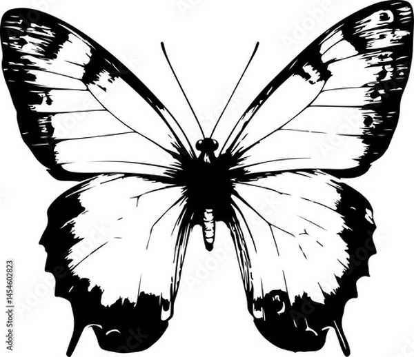 Obraz Black and White Illustration of a Butterfly with Detailed and Symmetrical Wing Patterns

