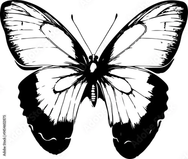 Obraz Black and White Illustration of a Butterfly with Detailed and Symmetrical Wing Patterns
