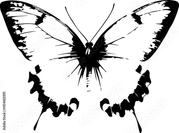 Obraz Black and White Illustration of a Butterfly with Detailed and Symmetrical Wing Patterns

