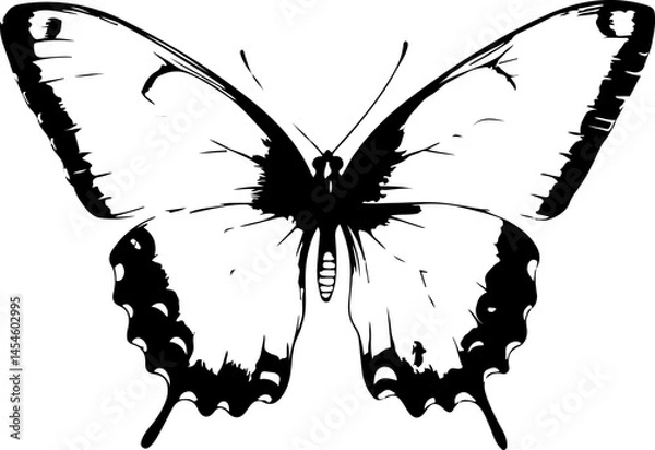 Obraz Black and White Illustration of a Butterfly with Detailed and Symmetrical Wing Patterns
