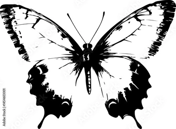 Obraz Black and White Illustration of a Butterfly with Detailed and Symmetrical Wing Patterns
