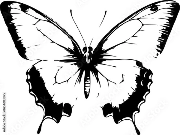 Obraz Black and White Illustration of a Butterfly with Detailed and Symmetrical Wing Patterns
