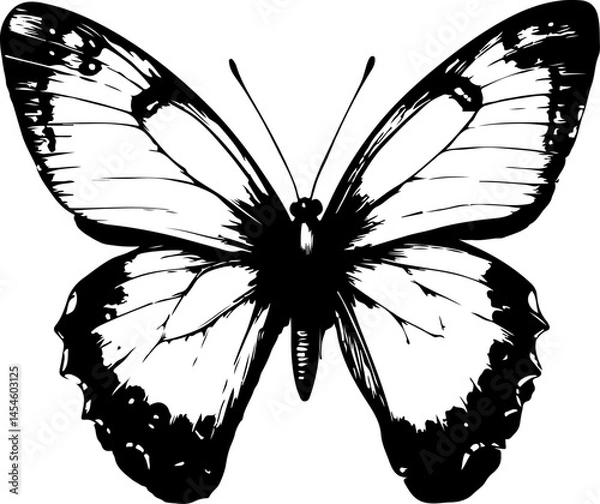 Obraz Black and White Illustration of a Butterfly with Detailed and Symmetrical Wing Patterns

