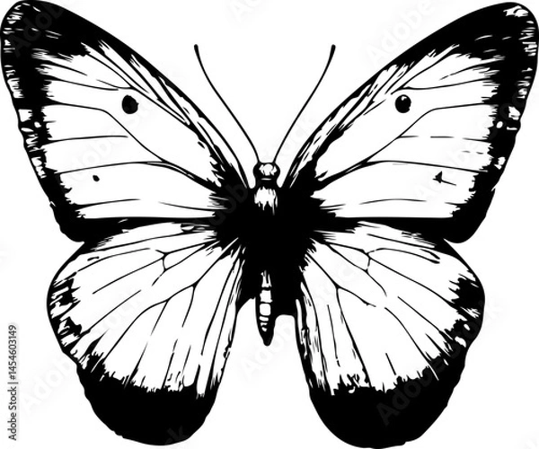 Obraz Black and White Illustration of a Butterfly with Detailed and Symmetrical Wing Patterns
