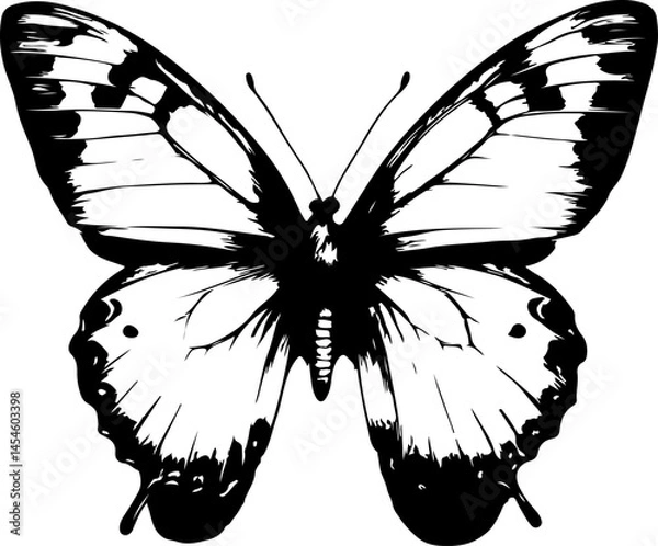 Obraz Black and White Illustration of a Butterfly with Detailed and Symmetrical Wing Patterns
