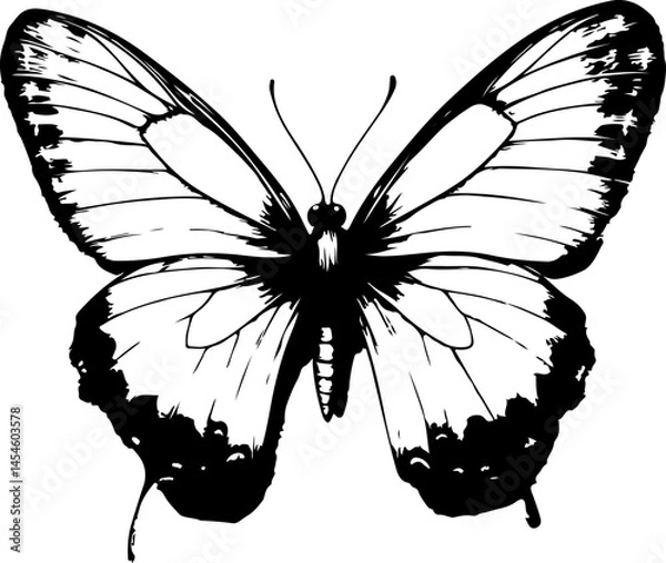 Obraz Black and White Illustration of a Butterfly with Detailed and Symmetrical Wing Patterns

