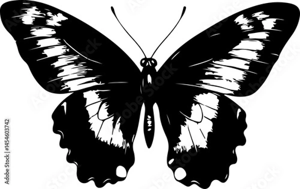 Obraz Black and White Illustration of a Butterfly with Detailed and Symmetrical Wing Patterns
