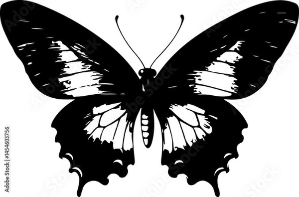 Obraz Black and White Illustration of a Butterfly with Detailed and Symmetrical Wing Patterns
