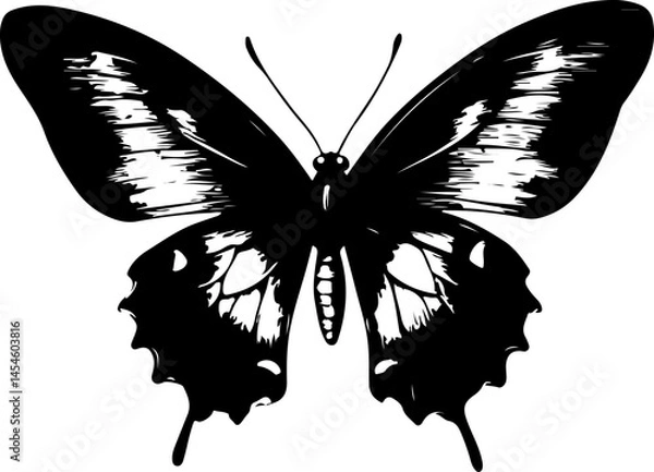 Obraz Black and White Illustration of a Butterfly with Detailed and Symmetrical Wing Patterns
